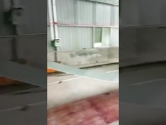 18-20 Stations-Rolle, die Maschine für Stahl der Leitschienen-Platten-45# bildet