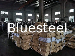 Innen Durchmesser schwarz galvanisierte Rolltürfeder für einen optimalen Nutzen